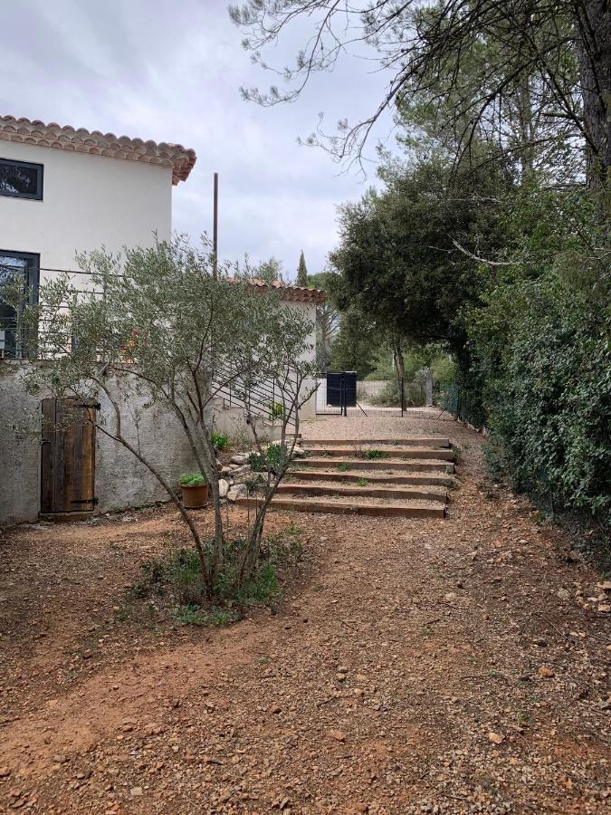 Magnifique Villa Classee 4* Meuble De Tourisme Flassans-sur-Issole Екстер'єр фото